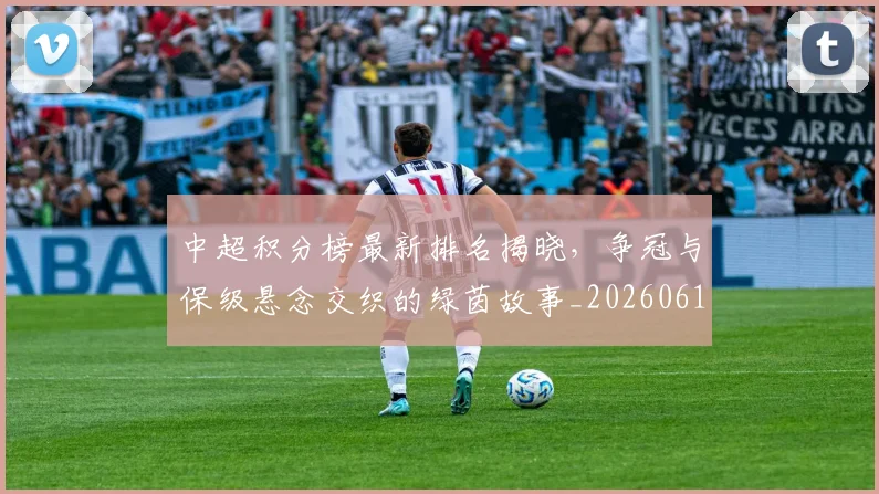 中超积分榜最新排名揭晓,争冠与保级悬念交织的绿茵故事_20260610190446
